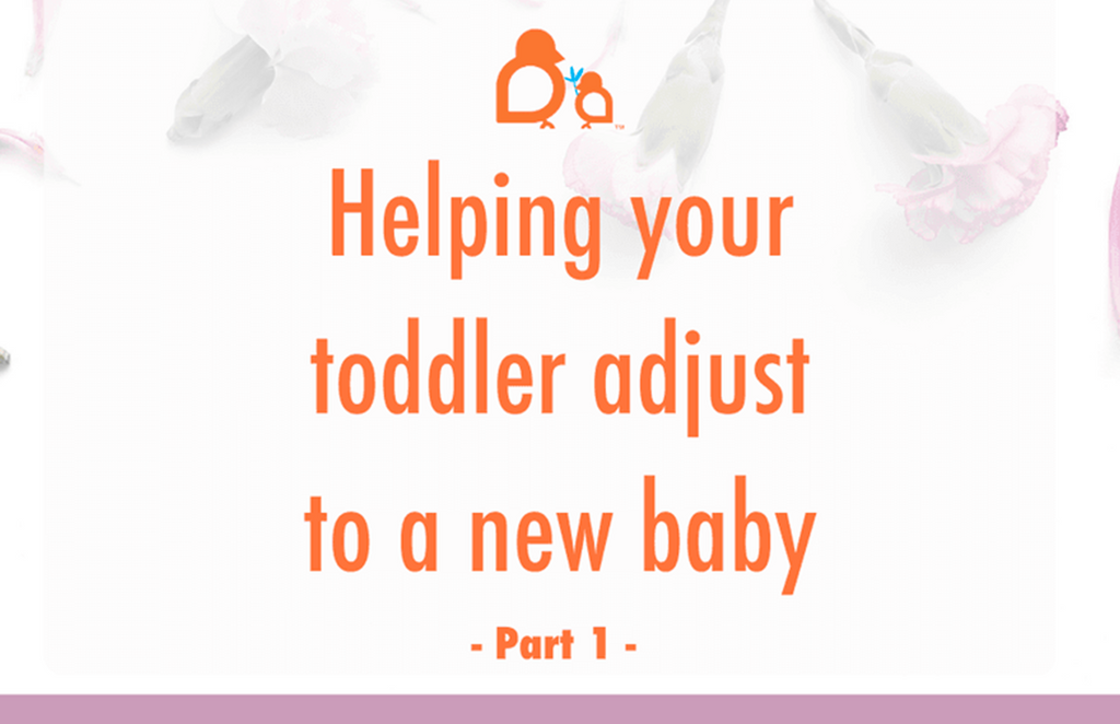 Bringing a New Baby Home to Your Toddler: Part 1