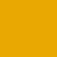 Solid mustard yellow color background.