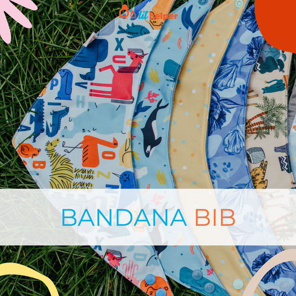 Biggie Bib - Swirls Out To Sea - Video